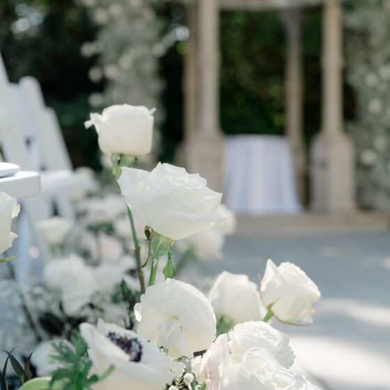 Up close shot of white roses lining a wedding aisle.
